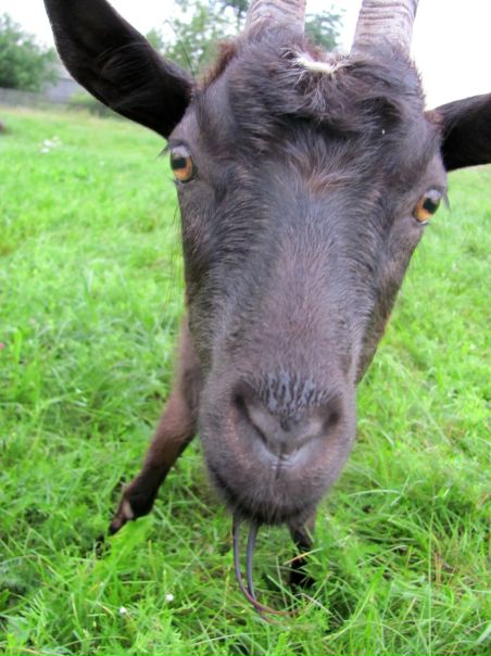 №105, Светлана Дулько, 34 года, Минск №105, Светлана Дулько, 34 года, Минск