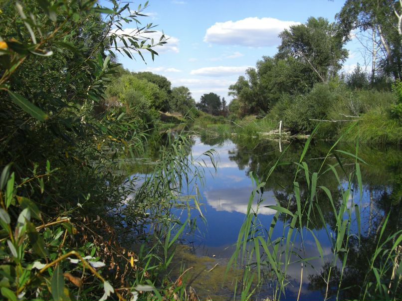 Павел Киреев | Ростов-на-Дону