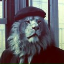 Фотография Станислав Сергеевич
