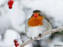 №13 Дарья Медведева : профиль, фото, статус - ВКонтакте