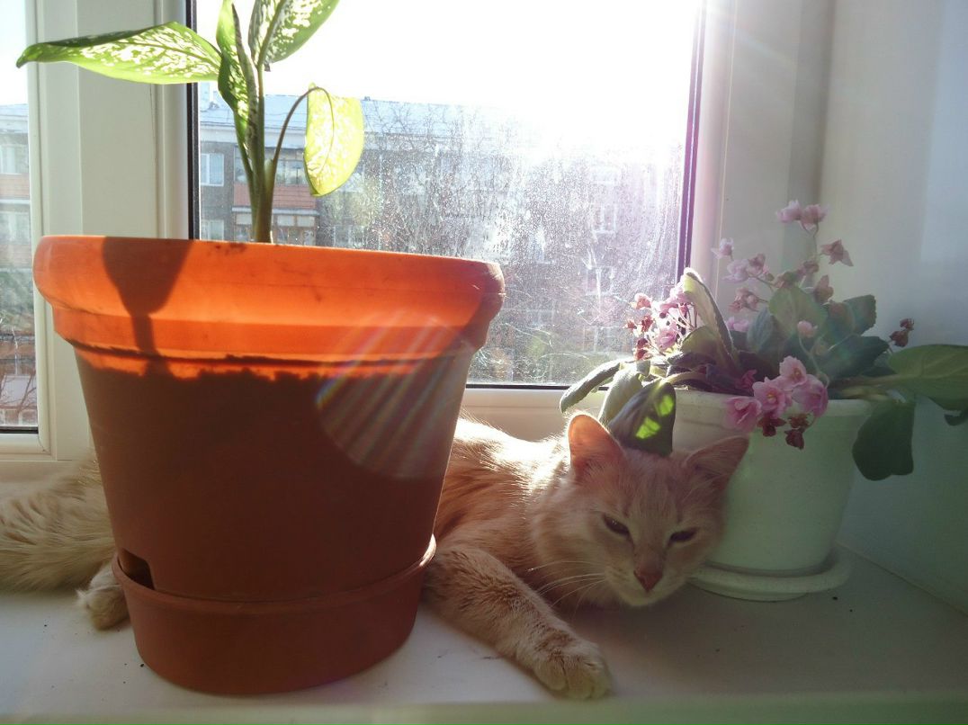 Алексей Чугунов | Уфа