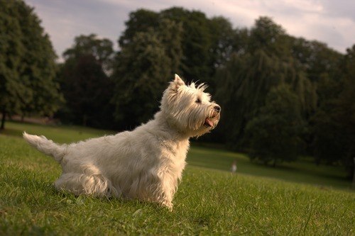 Виктория Павлова | Санкт-Петербург