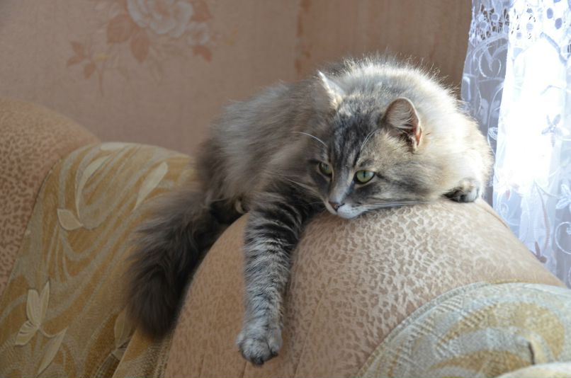 Кристина Бабенкова | Караганда