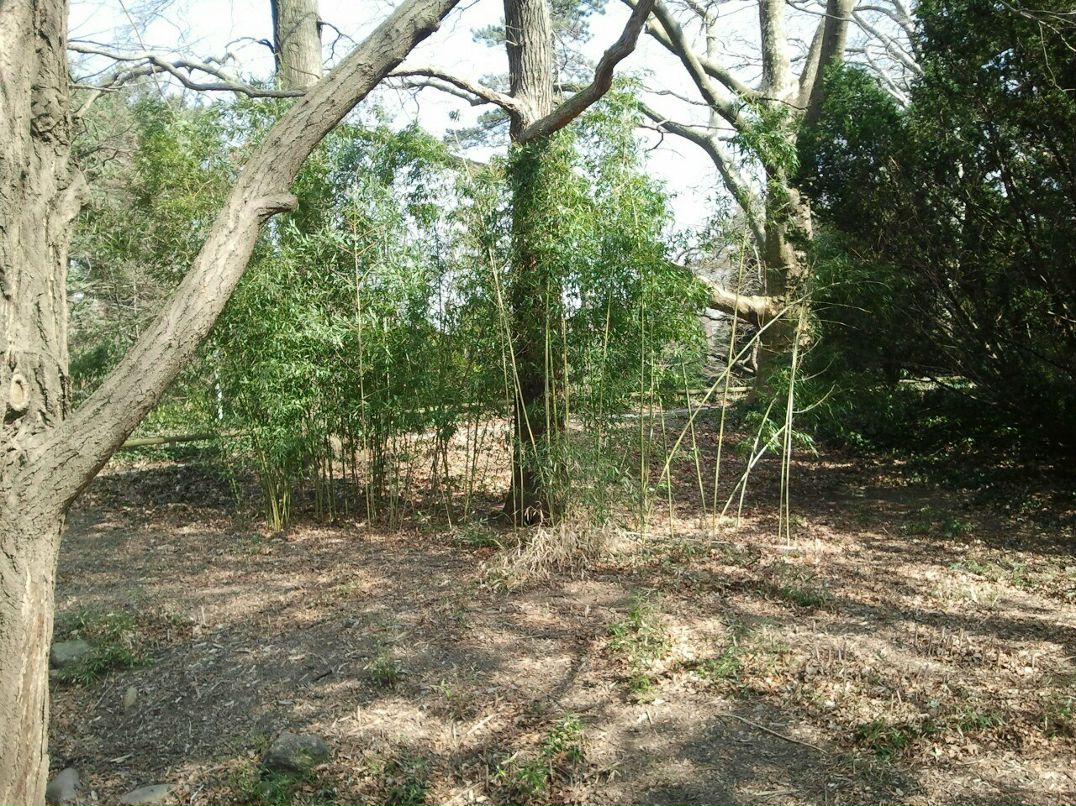 Игорь Панов | Santo Domingo