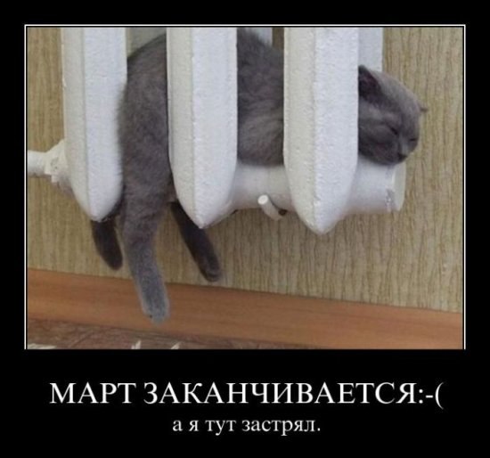 Александр Александров | Нижневартовск