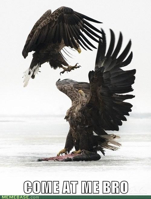 Маттео Оеттам | 