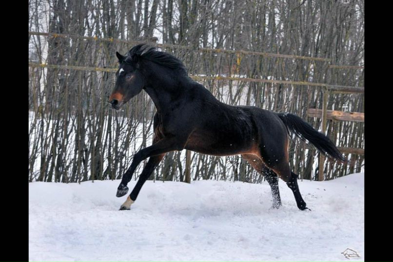 Ирина Соболева-Бурмистрова Figurka:) | Москва