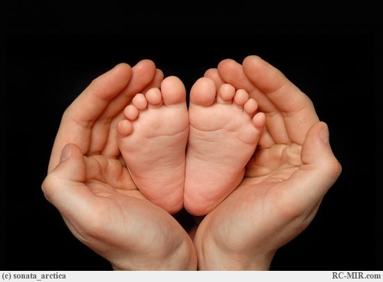 Елена Брылкина | 