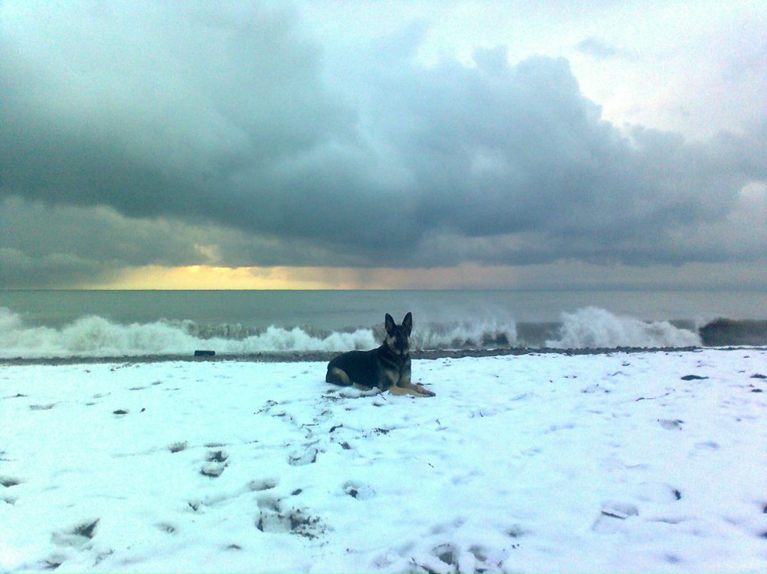 Сергей Мосьпан | 