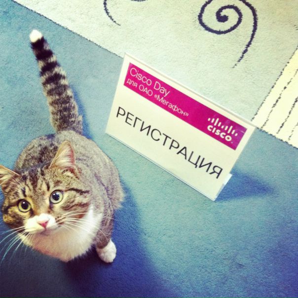 №51, Mashu Sl, Москва №51, Mashu Sl, Москва