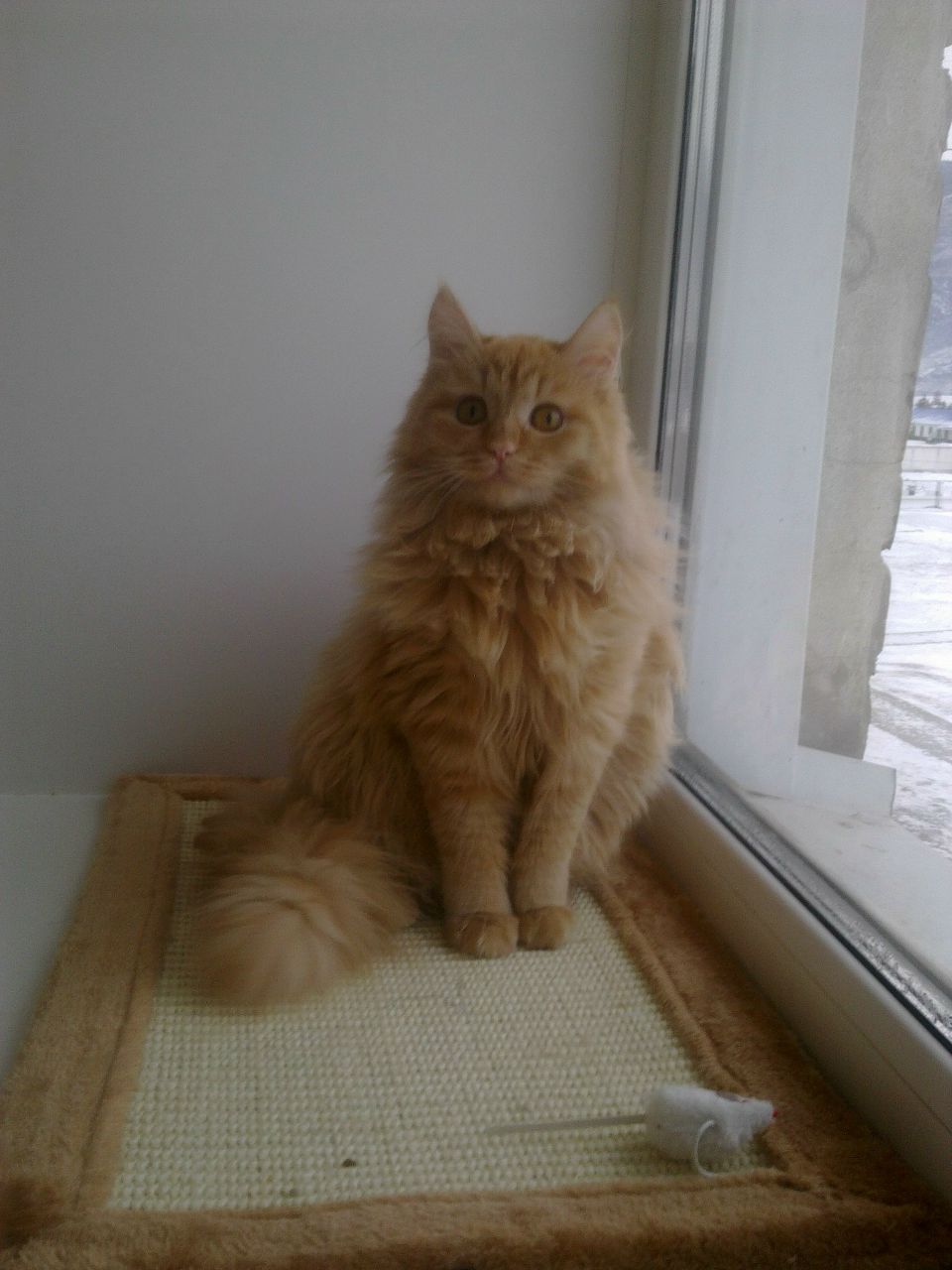 Дмитрий Нечаев | Казань