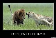 Фотография Римма Кочеткова