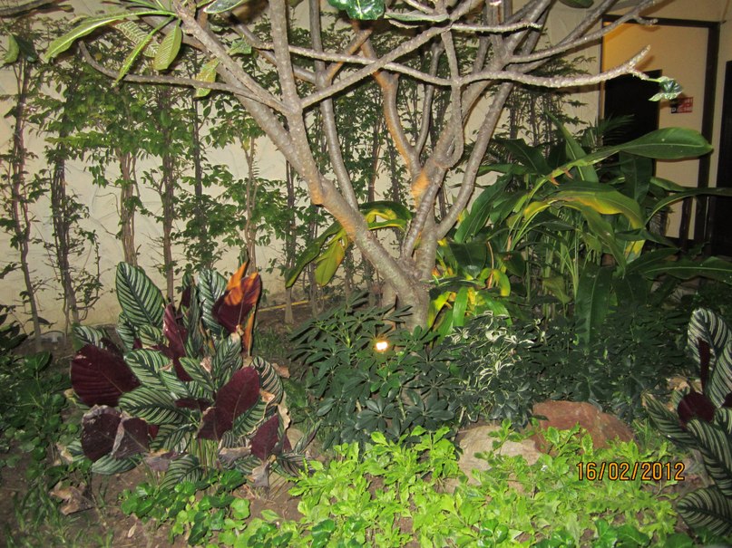 Valentina Stepanova | Санкт-Петербург