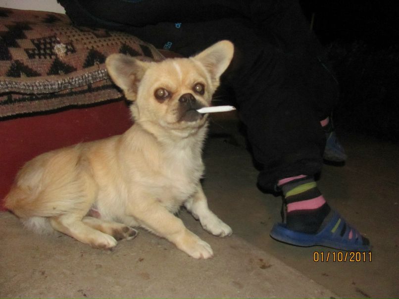 Женя Атаманюк Гоцул | Коломыя