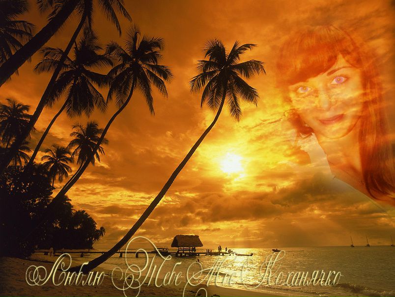 №148, Dan Balko №148, Dan Balko