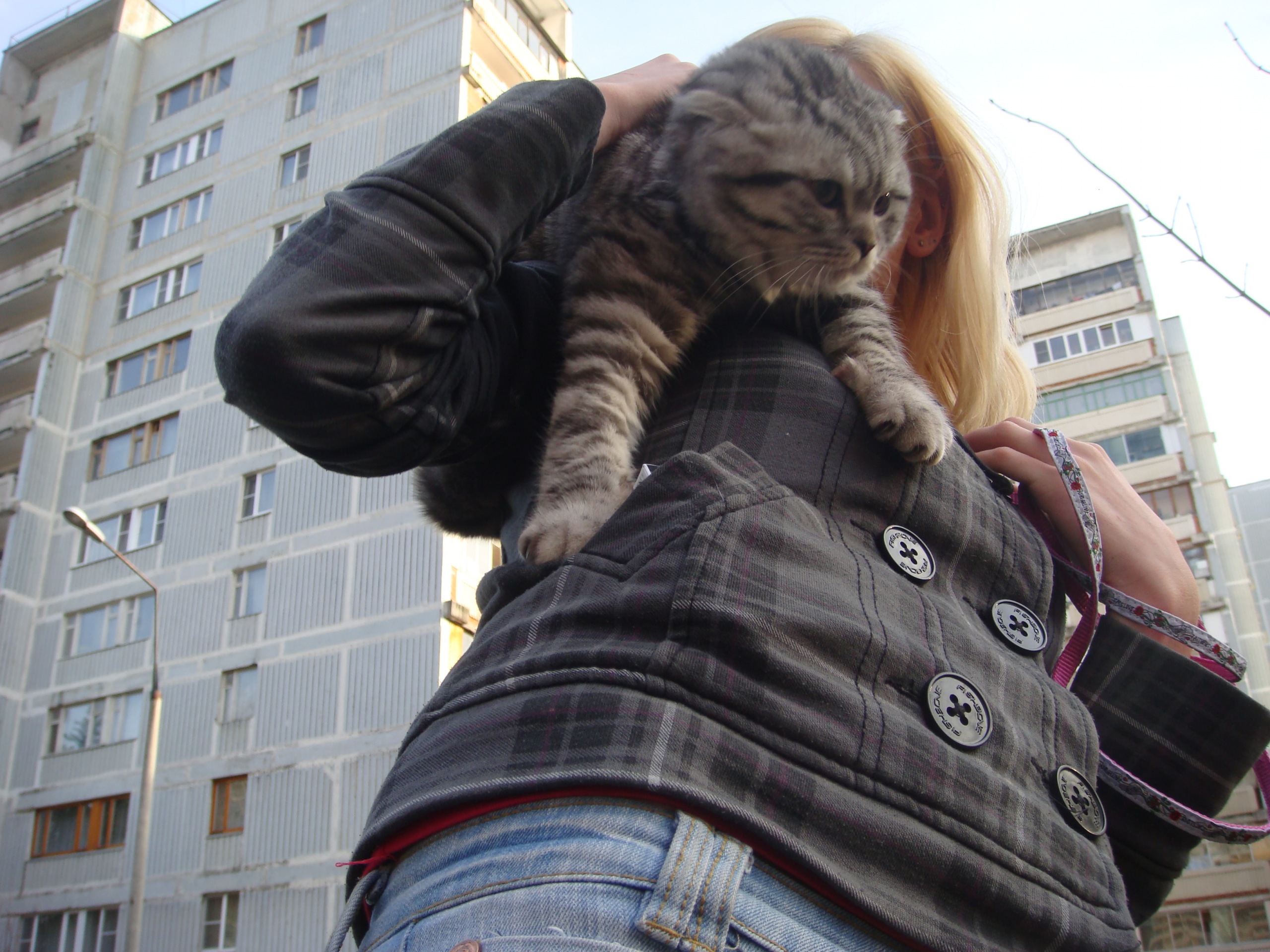 Фото профиля