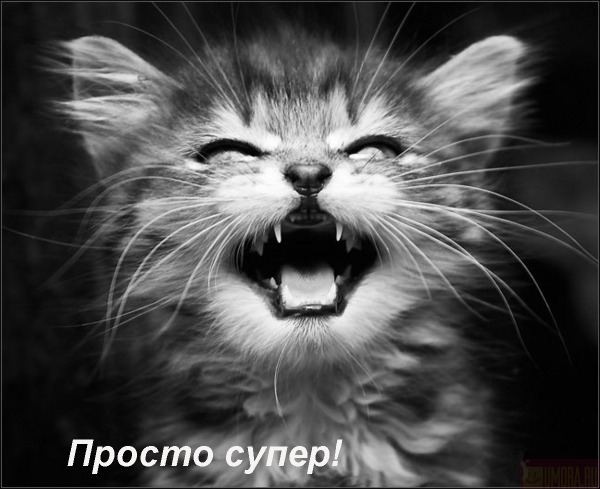 №143, Танюшка Neko №143, Танюшка Neko