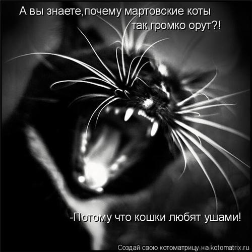 №34, Бодя Литвин, Иваново №34, Бодя Литвин, Иваново