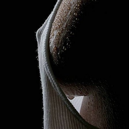 Лена Кальченко | Киров