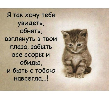 Катя Лысакова | Покров / Орджоникидзе