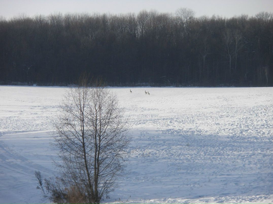 Віктор Виноградов *** DOCTOR *** | Хмельник