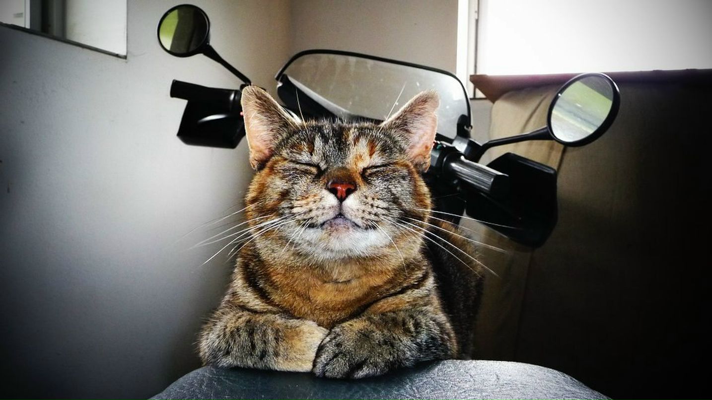 Влад Цеханович | Пятигорск