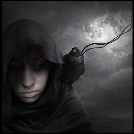 Макс Волков | 