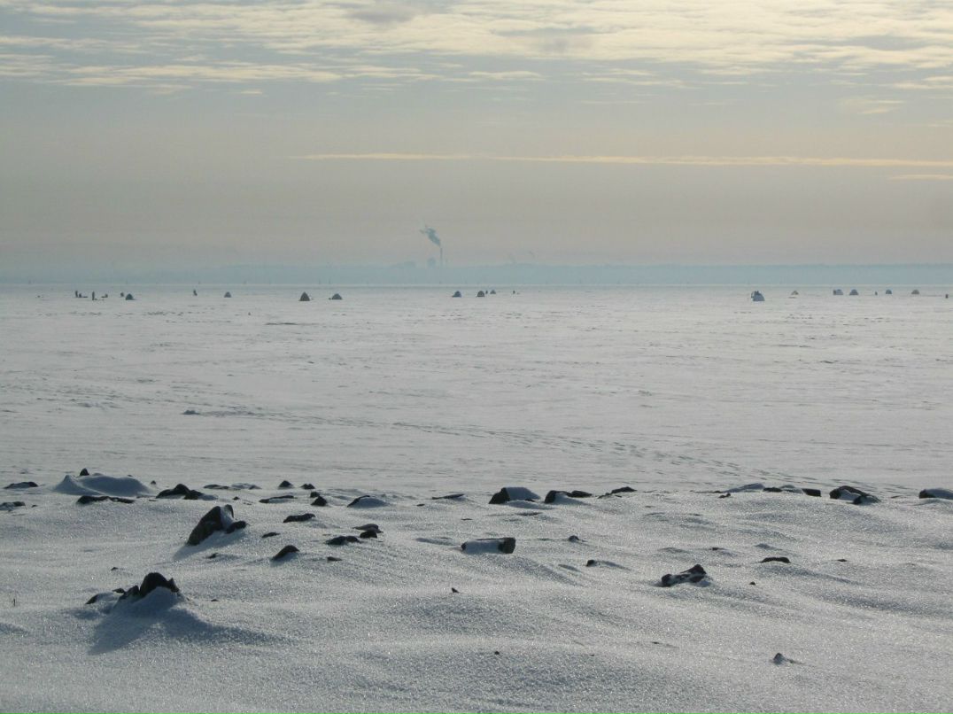 Алексей Гора | Санкт-Петербург