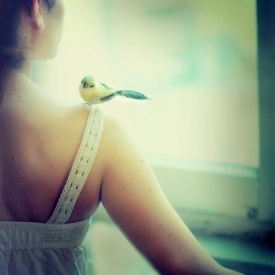 №110, Ірис Барбарис, 34 года №110, Ірис Барбарис, 34 года