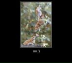 №8 Обито Учиха : профиль, фото, статус - ВКонтакте