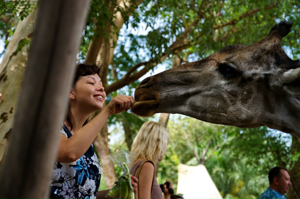 Анна Самарская | Днепр (Днепропетровск)