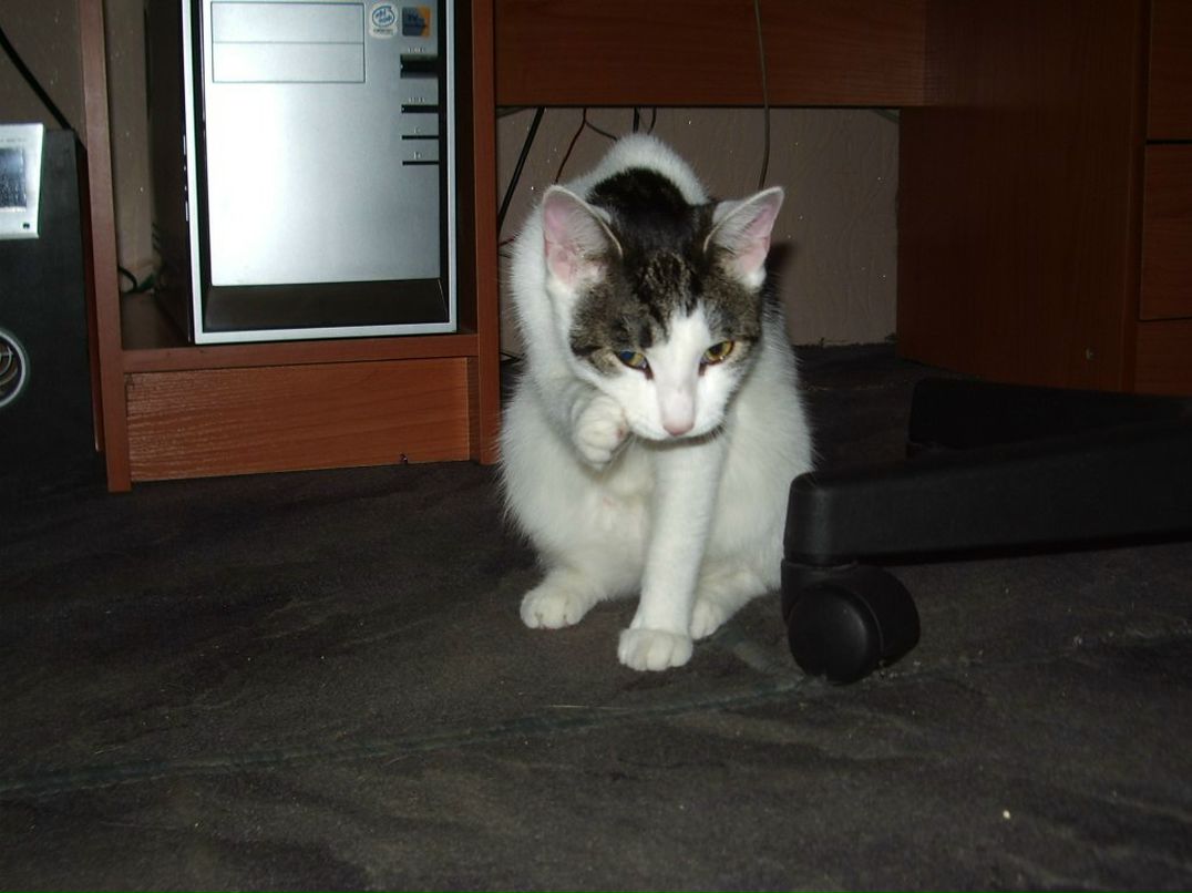 Владимир Барковский | Санкт-Петербург