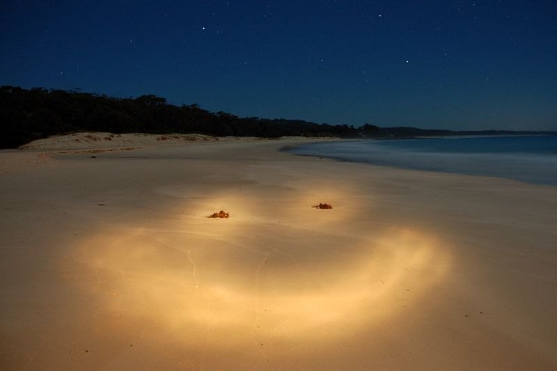 Алёна Морозова | Санкт-Петербург