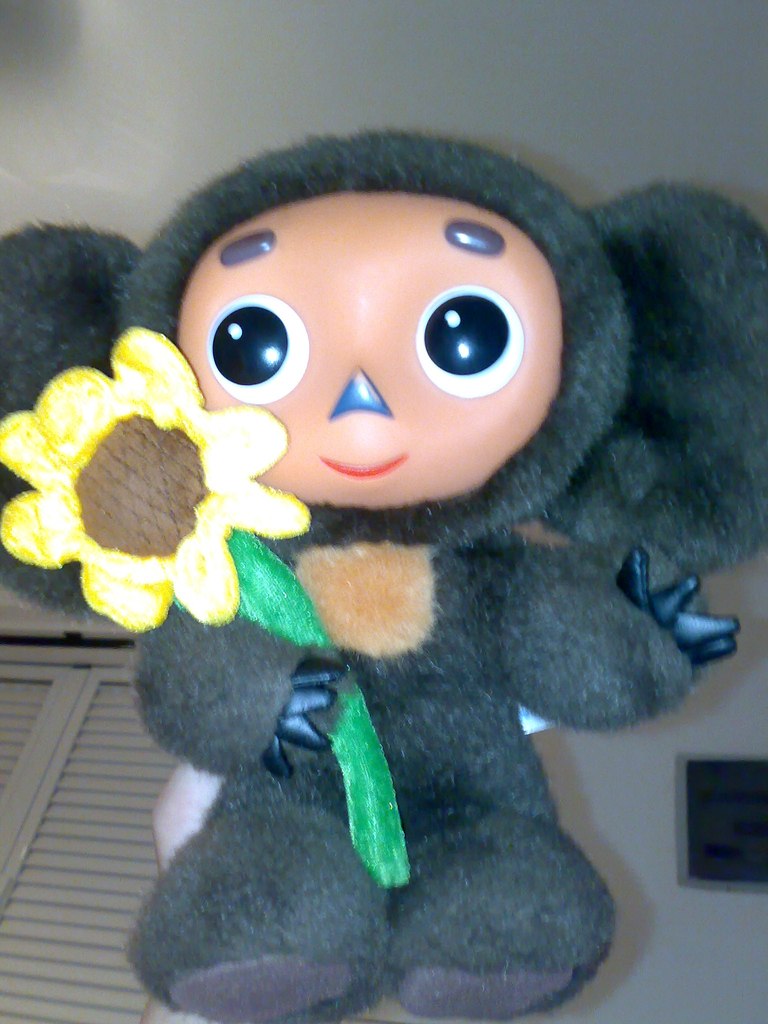 Галюсик Галчёнок | Севастополь