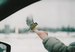 Мария Юрьева фотография #33 (источник - https://vk.com/id4492854)