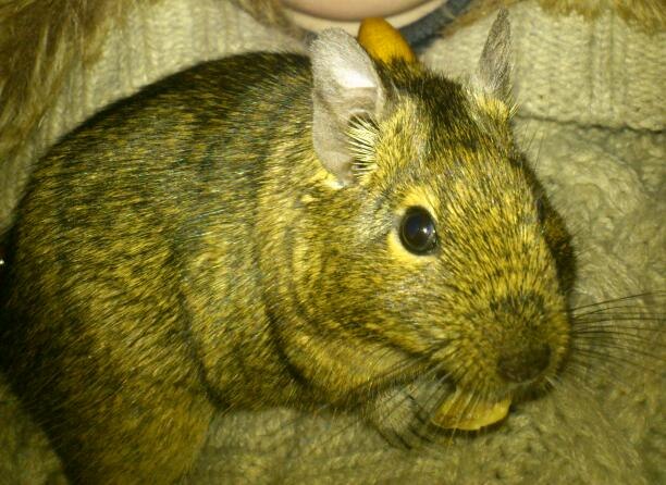 Мария Лактюшина | Москва