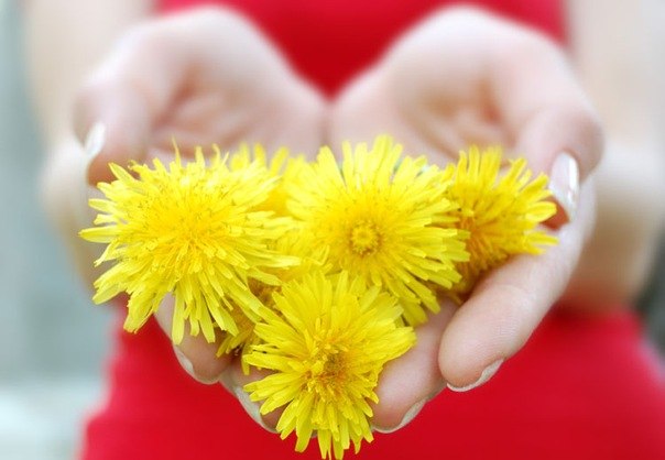 Ирина Бондаренко | Харьков