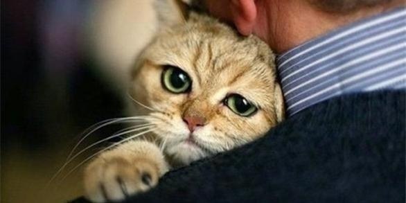 Владимир Минько V8888 | Москва