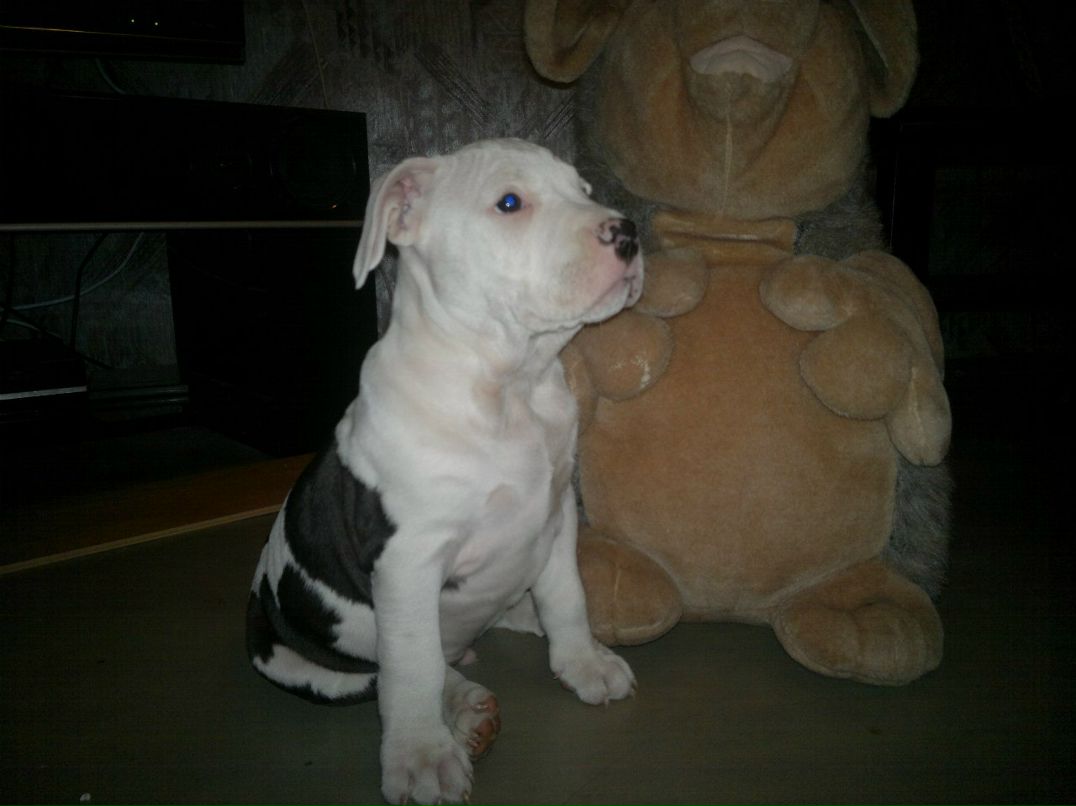 Наталья Терентьева | Санкт-Петербург