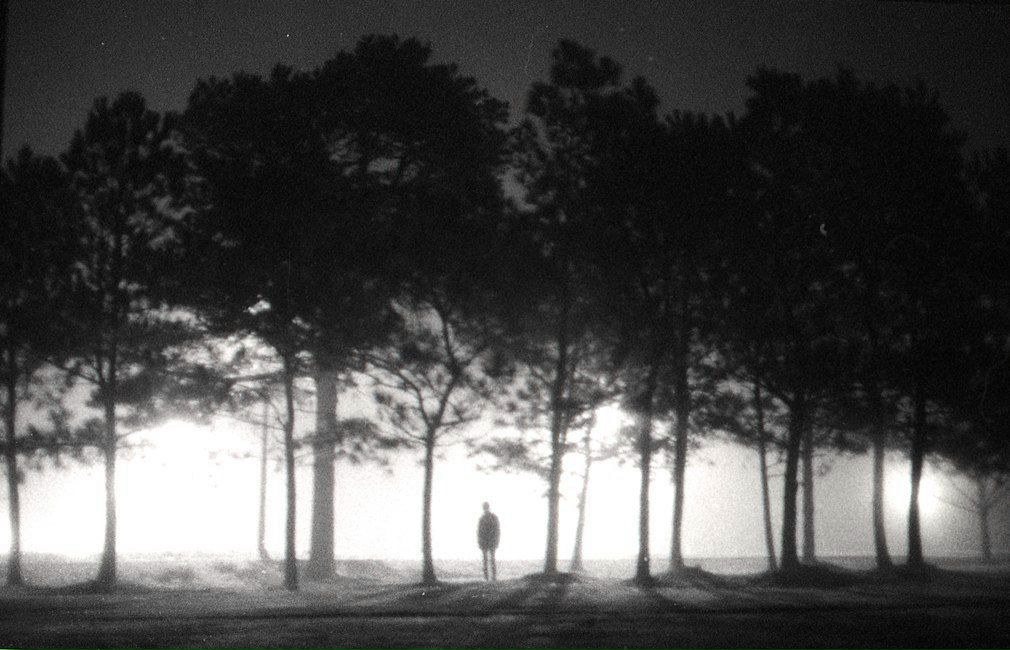 Эффект Алёши | Сергиев Посад