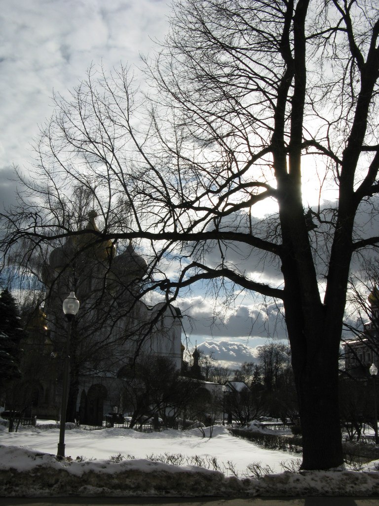 Сергей Высоцкий | Днепр (Днепропетровск)
