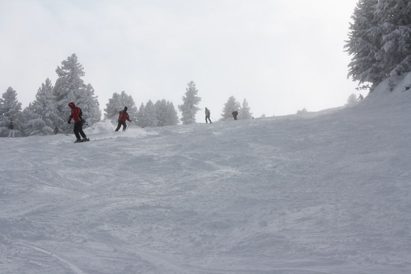 Сергей Невечеря | Одесса