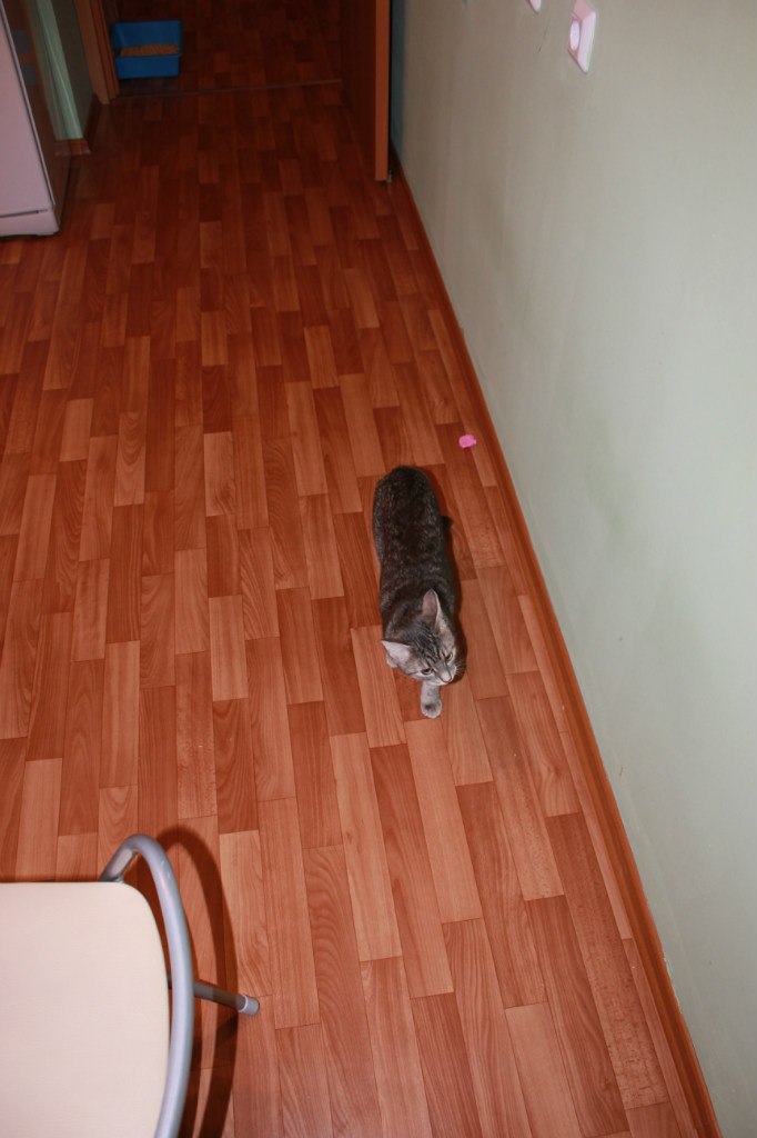 Сергей Охота | Санкт-Петербург