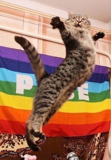 №52, Настя Гальцева, 31 год, Днепр (Днепропетровск) №52, Настя Гальцева, 31 год, Днепр (Днепропетровск)