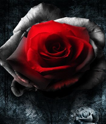 Анна Варфоломеєва | Хмельницкий