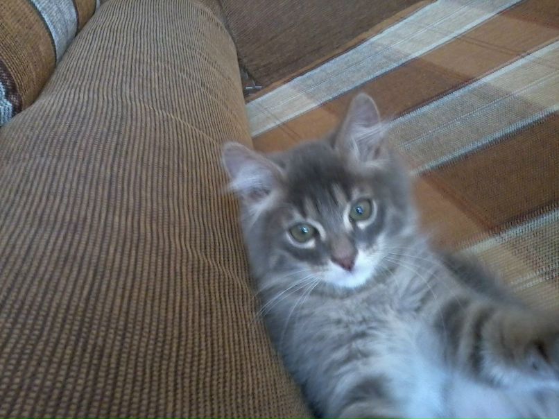 Руслан Залялутдинов | Казань