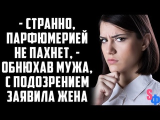 - Странно, парфюмерией не пахнет! - жена как собака ищейка обнюхала мужа…