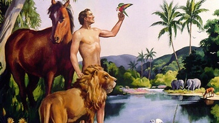 01 The First Man  05 You Must not Eat that Fruit #LEARN_ENGLISH_WITH_BIBLE #ELEMENTARY_ENGLISH