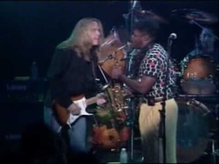 Andy Timmons - Jungleyes - Simon Phillips (Drum) IBANEZ 90th Anniversary