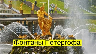 Государственный музей-заповедник “ПЕТЕРГОФ“